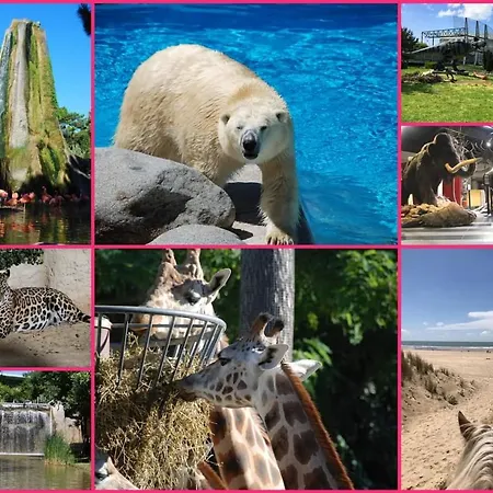 Hotel Siblu Les Charmettes La Palmyre